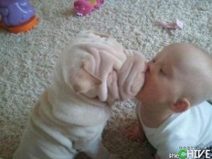 baby-dog kiss