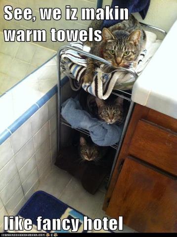 warm towels