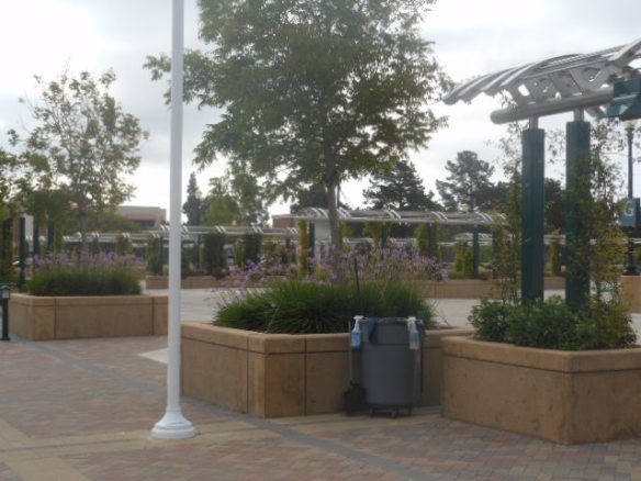 May 31 2014 morning 010