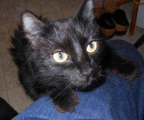 July 22 2014 001 (2)