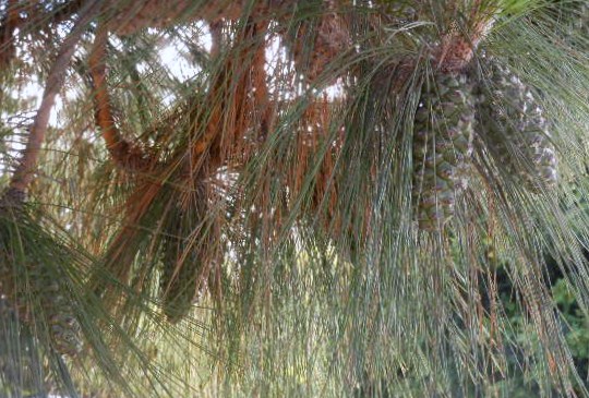 July 22 2014 020 (2)