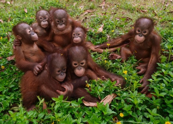 Solent News & Photo Agency