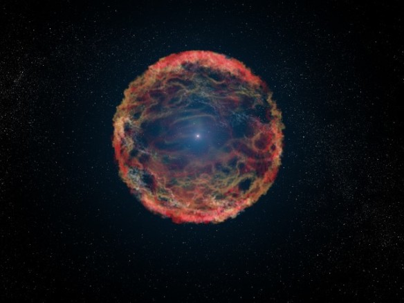 Supernova M81
