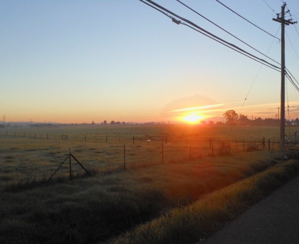 Zack at Christmas 12-28-2012 002 (2)