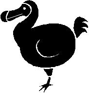 dodo