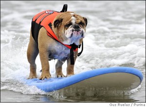 Featured Image -- 4217