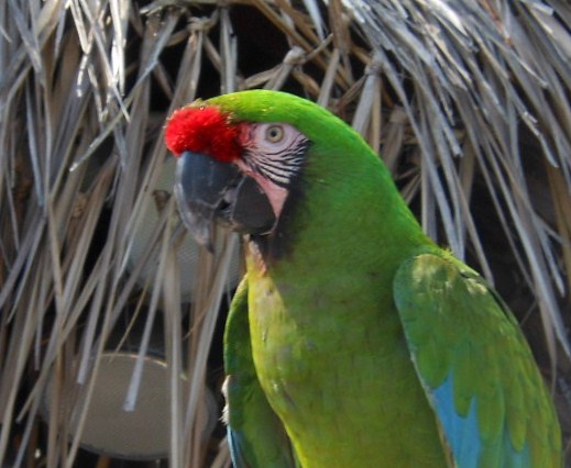 August 7 2014 005 (2)