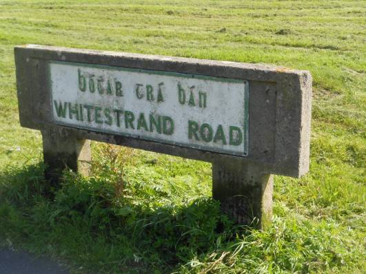 Last of Eire 2015 006