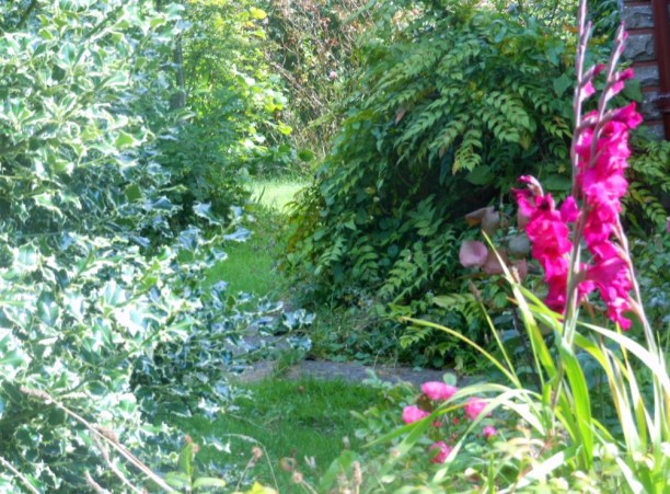 Galway garden path