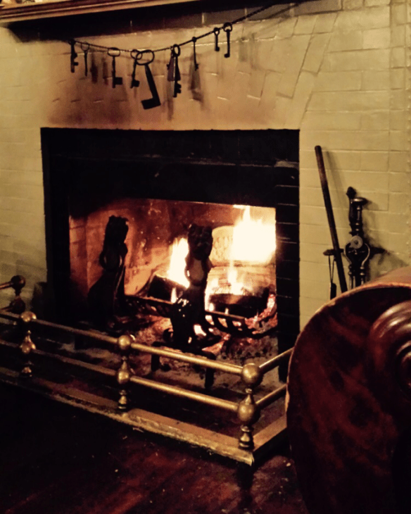 a moles domain by Mari