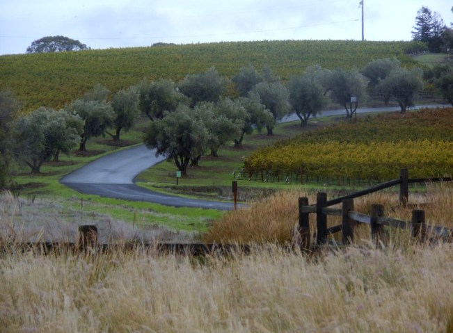 winery-drive