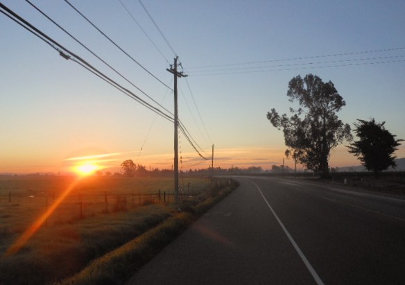 Zack at Christmas 12-28-2012 003